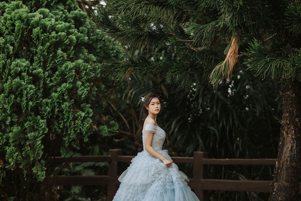 Gemma gown, photo 3 of 3