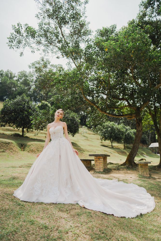 Delanie gown, photo 3 of 8