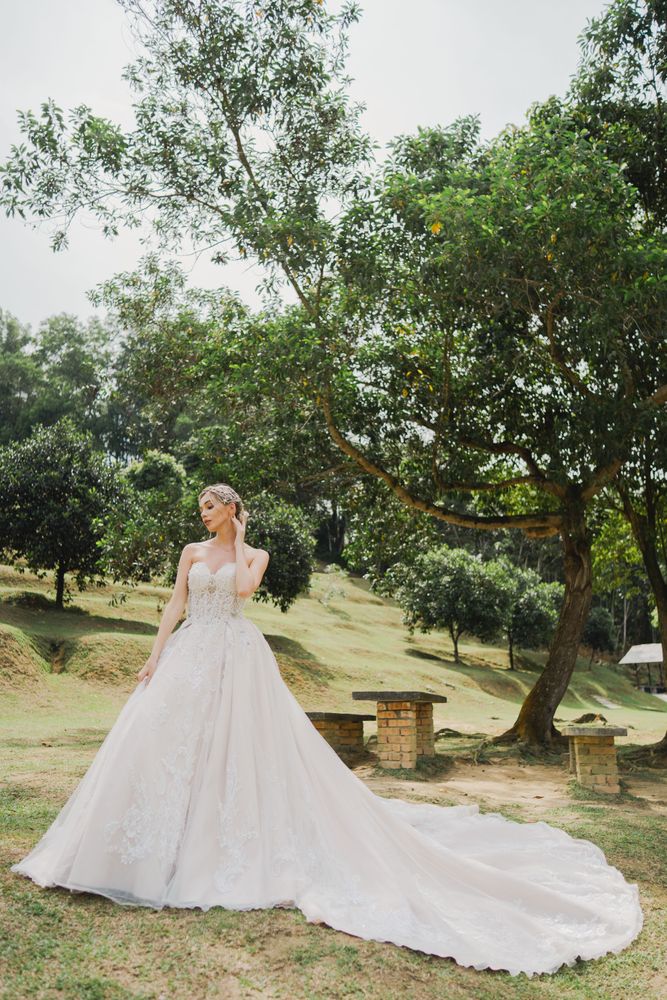 Delanie gown, photo 1 of 8