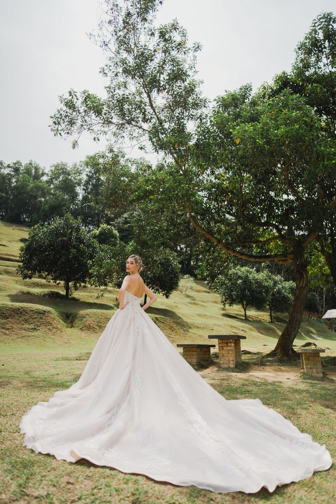 Delanie gown, photo 4 of 8