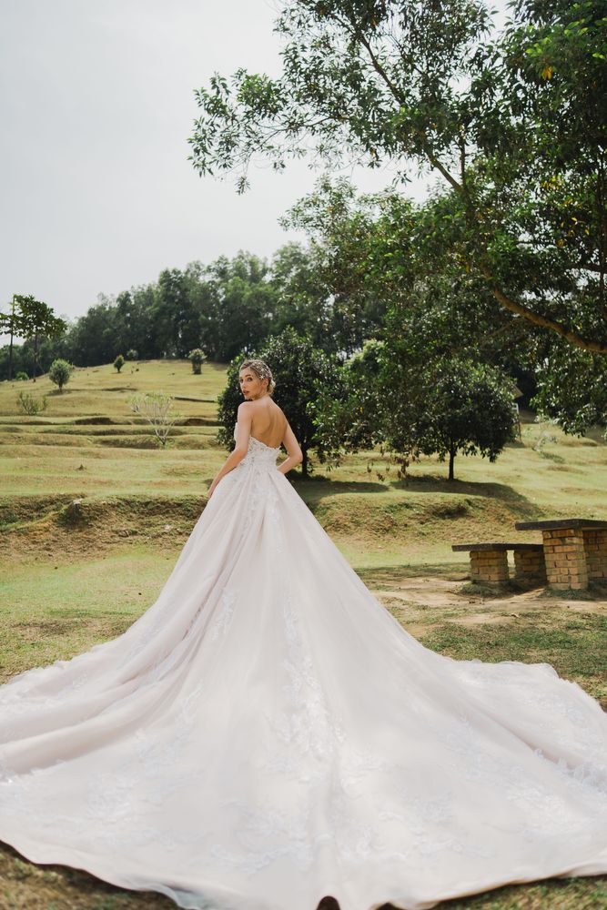 Delanie gown, photo 6 of 8